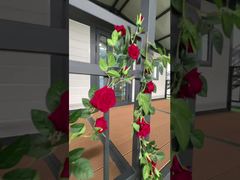 20ft Canopy Folding House